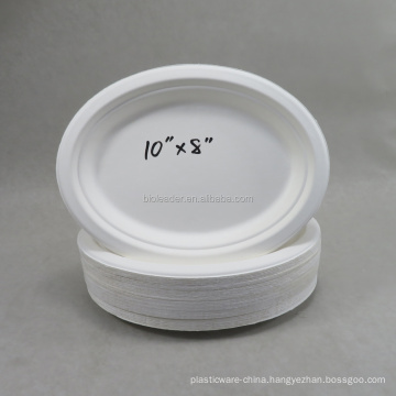 Bagasse Disposable Eco Tableware Oval Paper Plate